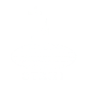 STEMI Logo